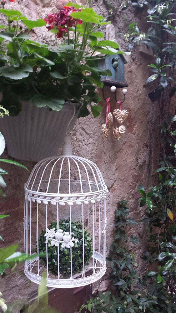 Bed & Breakfast Il Giglio *